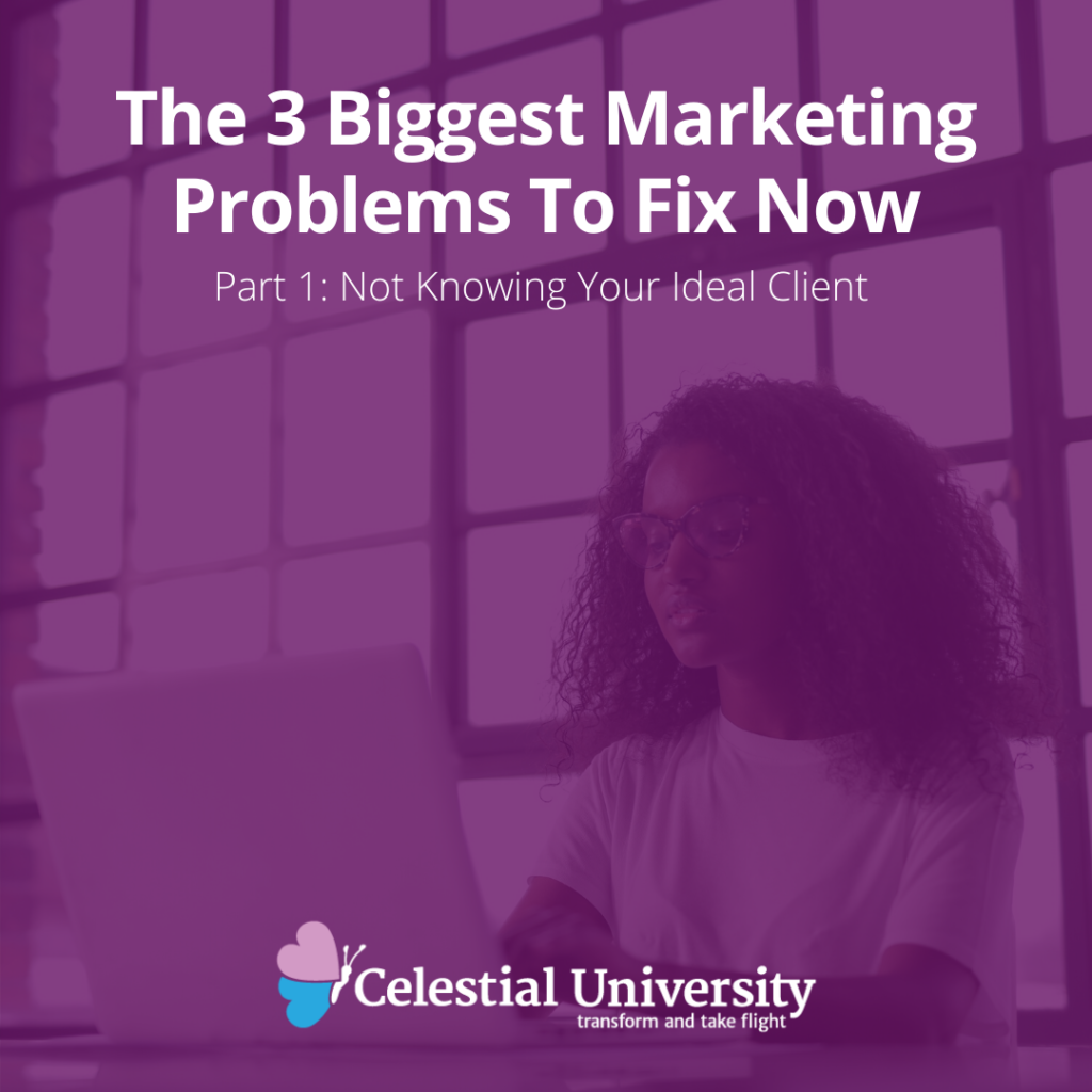 The 3 Biggest Marketing Problems To Fix Now, Part 1: Not Knowing Your Ideal Client